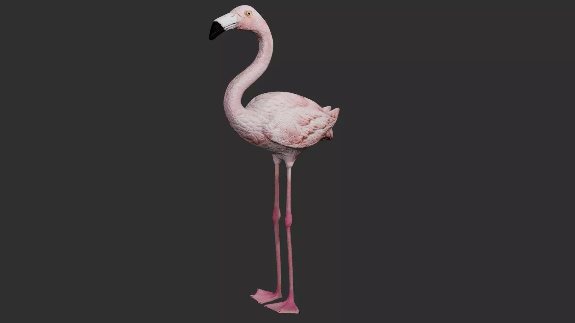 Flamingo 3D model_0
