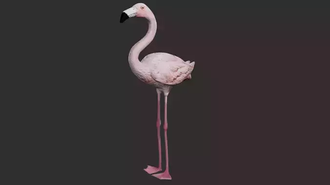Flamingo 3D model