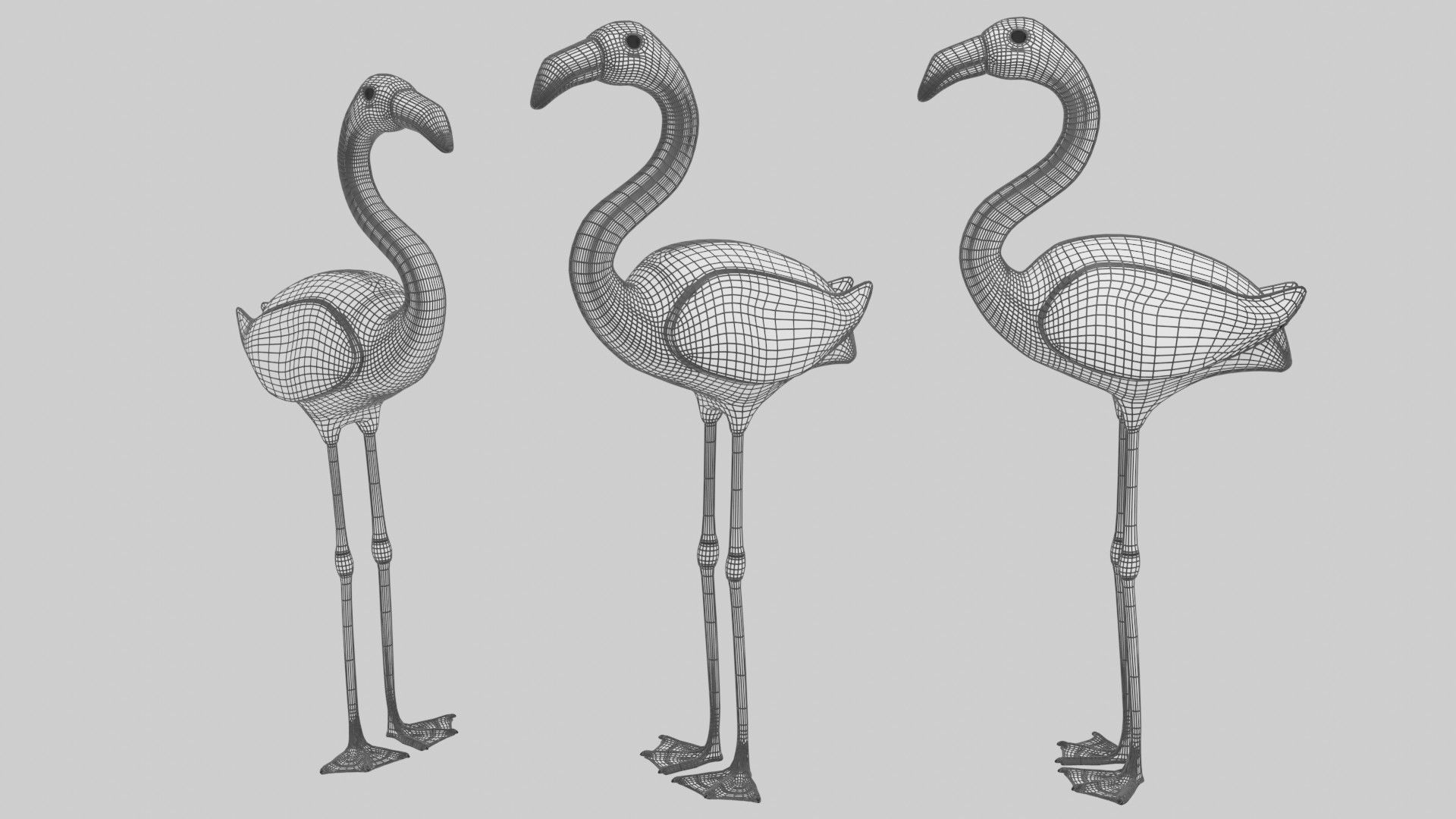 Flamingo 3D model_9