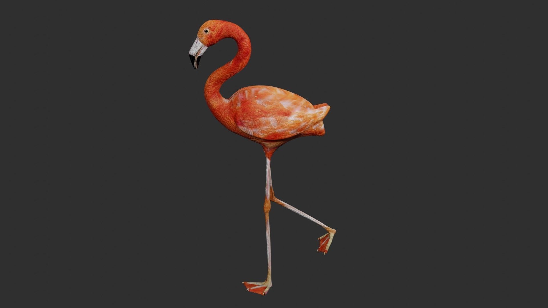 Flamingo Low-poly 3D model_4