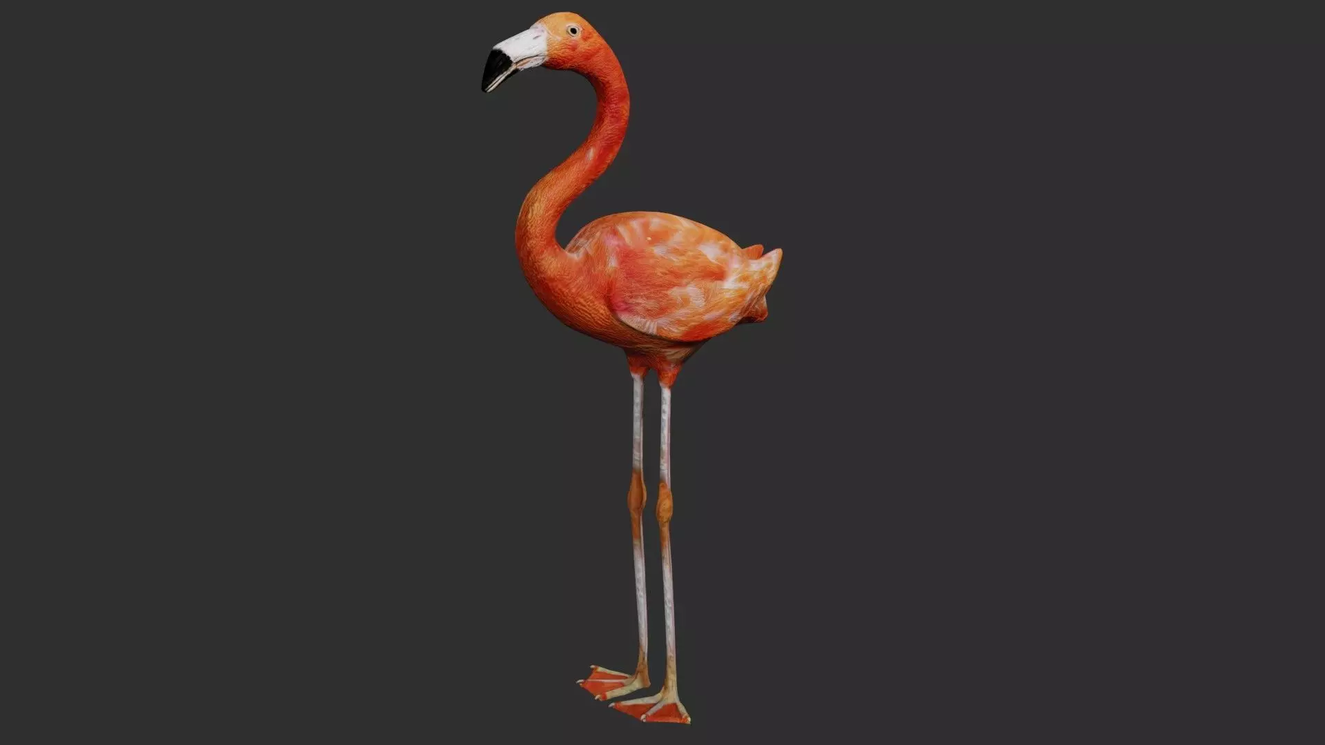 Flamingo Low-poly 3D model_0