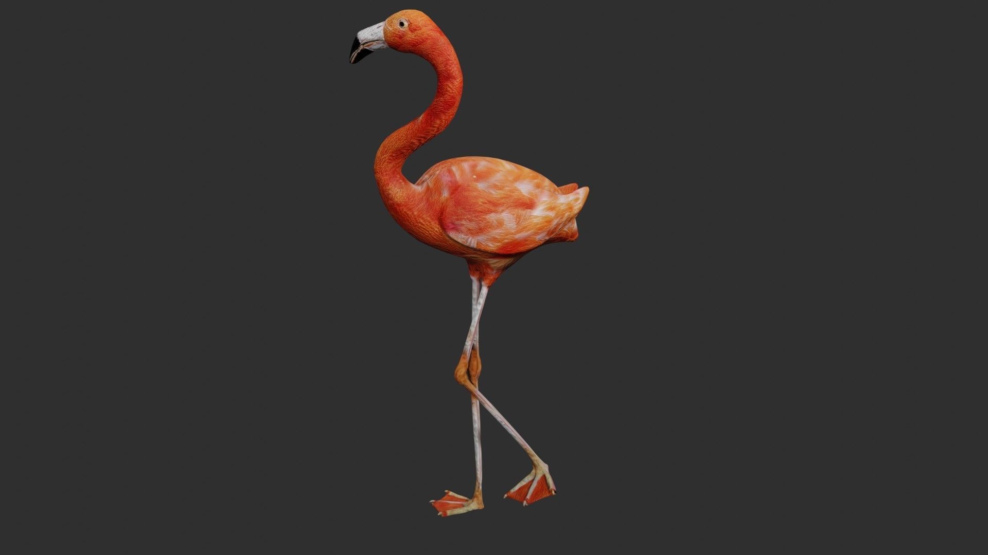Flamingo Low-poly 3D model_2