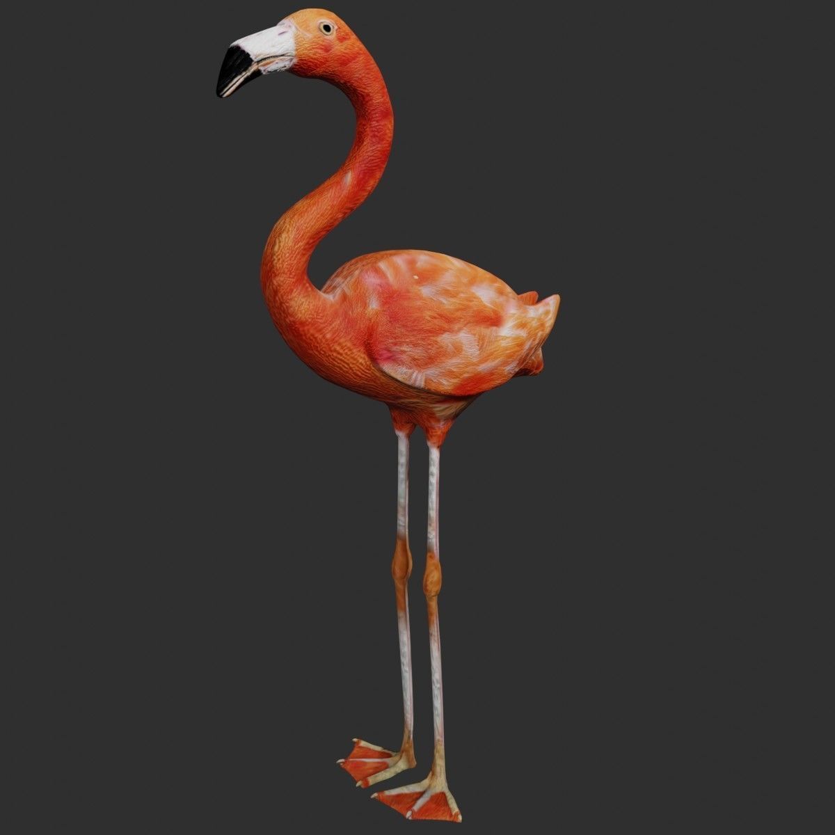 Flamingo Low-poly 3D model_5