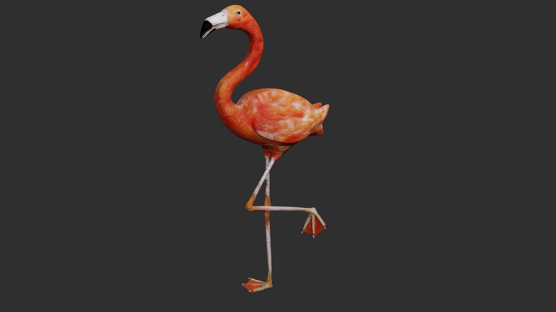 Flamingo Low-poly 3D model_1