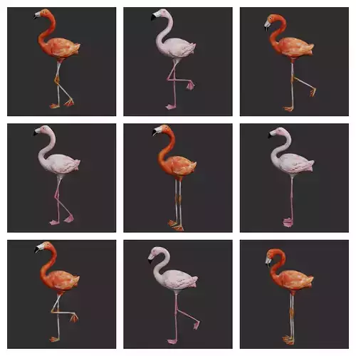 Flamingo 3D Model Collection