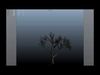 American Chestnut Tree 001 - Growth Animated 3D model_1