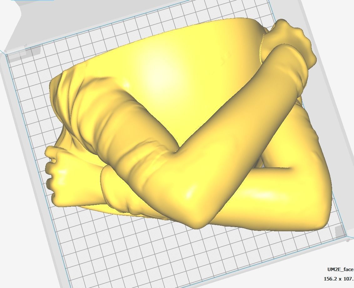 Face off - Art piece 3D print model_3