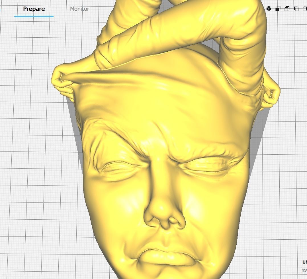 Face off - Art piece 3D print model_2