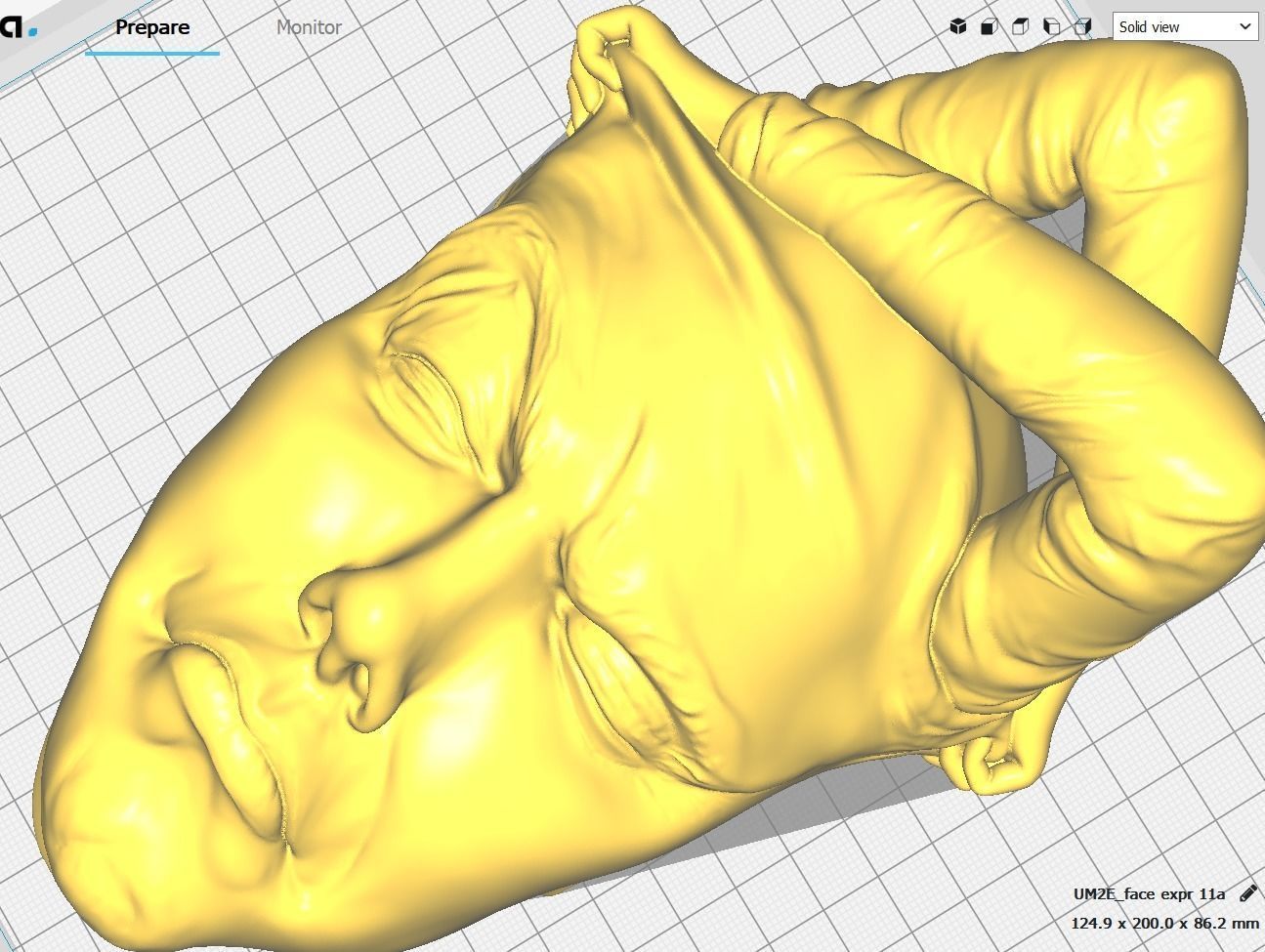 Face off - Art piece 3D print model_5