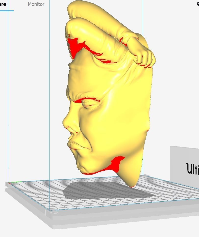 Face off - Art piece 3D print model_4