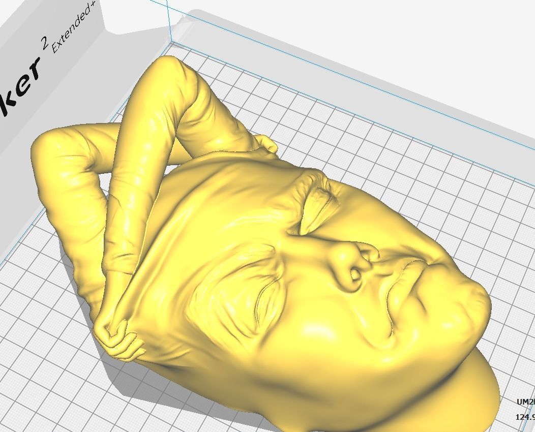 Face off - Art piece 3D print model_1