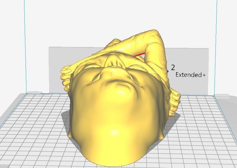 Face off - Art piece 3D print model_7