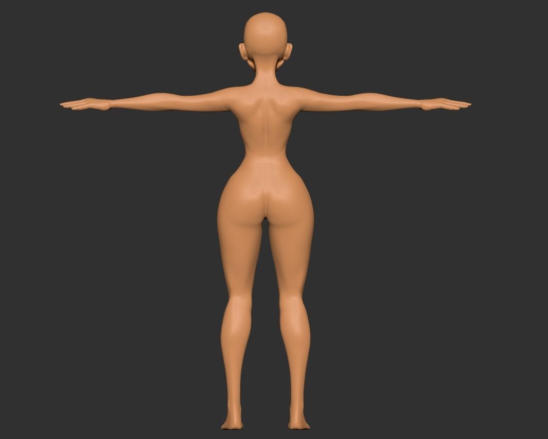 Female Base Anatomy Body - ZTL 3D model_3