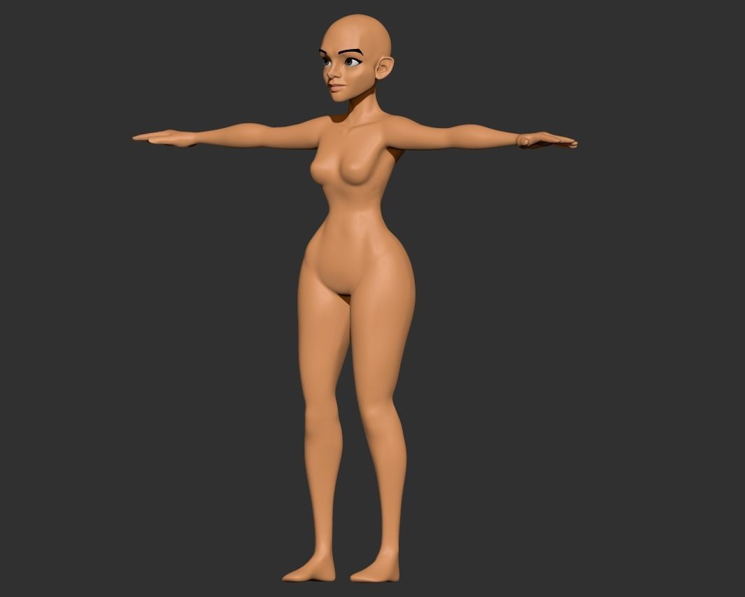 Female Base Anatomy Body - ZTL 3D model_1