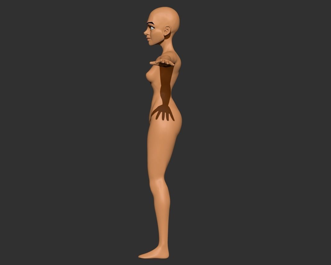 Female Base Anatomy Body - ZTL 3D model_2