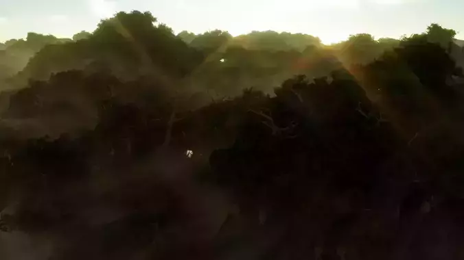 Realistic Forest tree