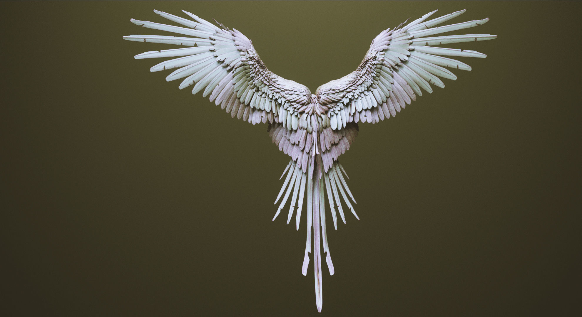 WINGS - 33 CREATURES MESHES 3D model_4