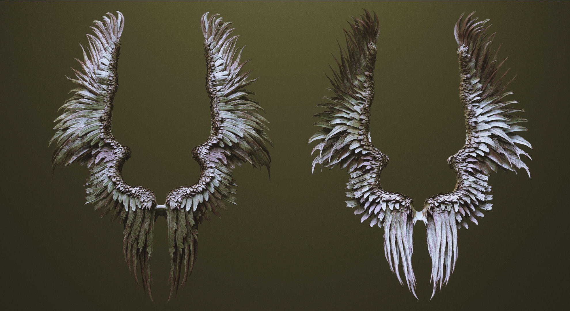 WINGS - 33 CREATURES MESHES 3D model_27