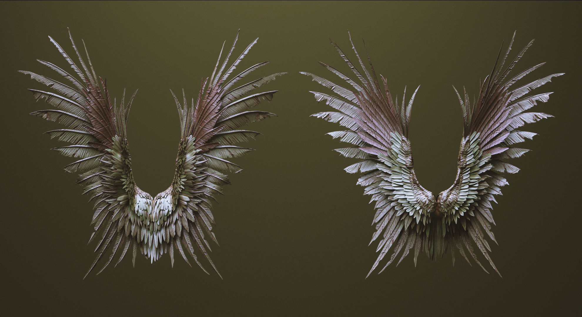 WINGS - 33 CREATURES MESHES 3D model_30