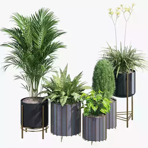 Ibigbean set of potted plants