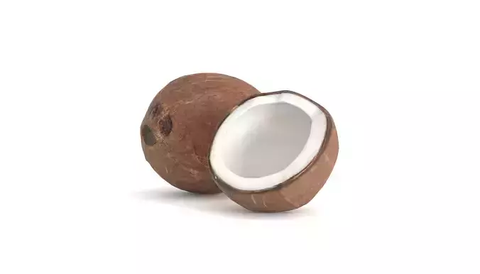 Coconut Fruit  Photoscan Low-poly 3D model