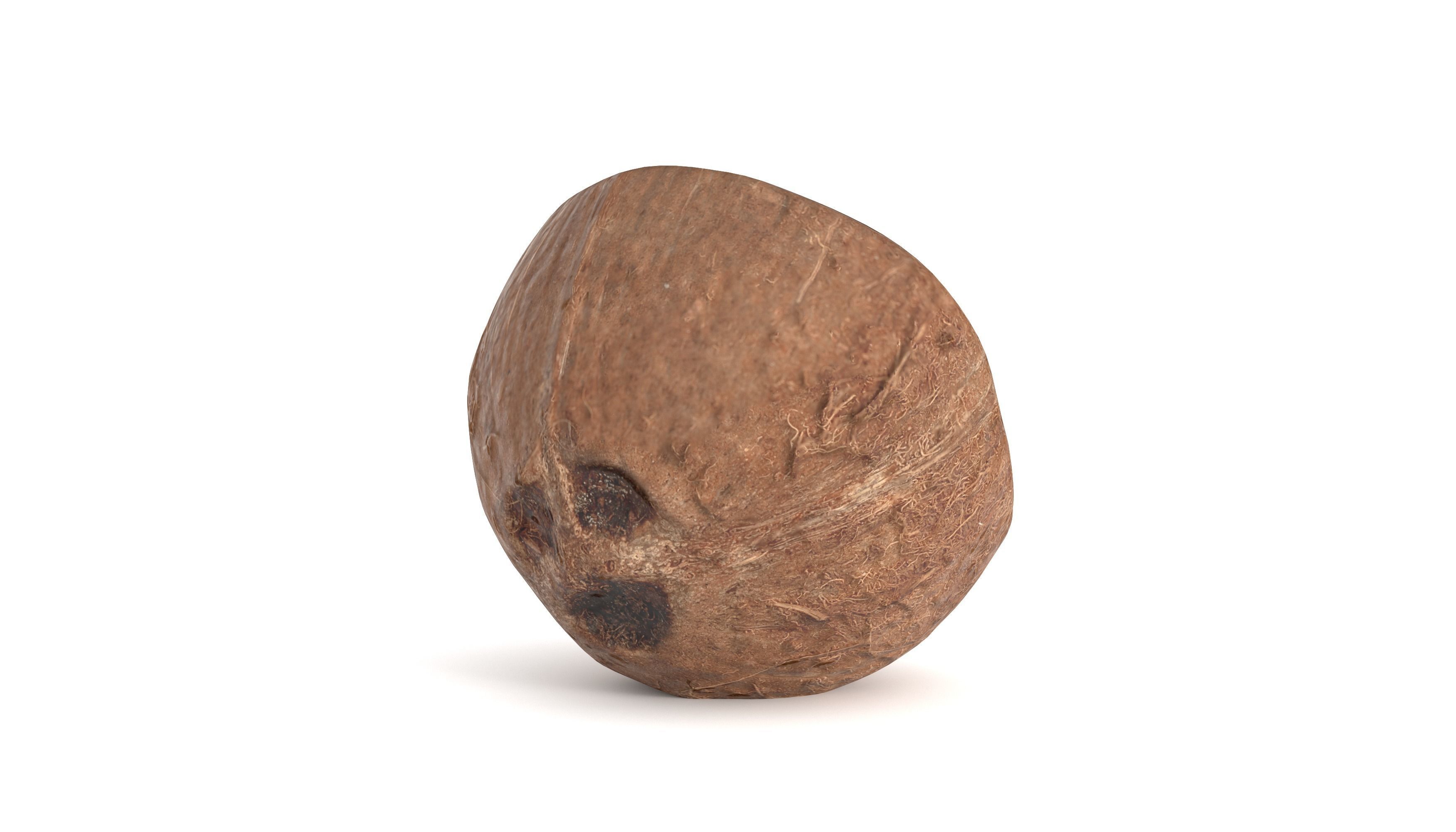 Coconut Fruit  Photoscan Low-poly 3D model_8