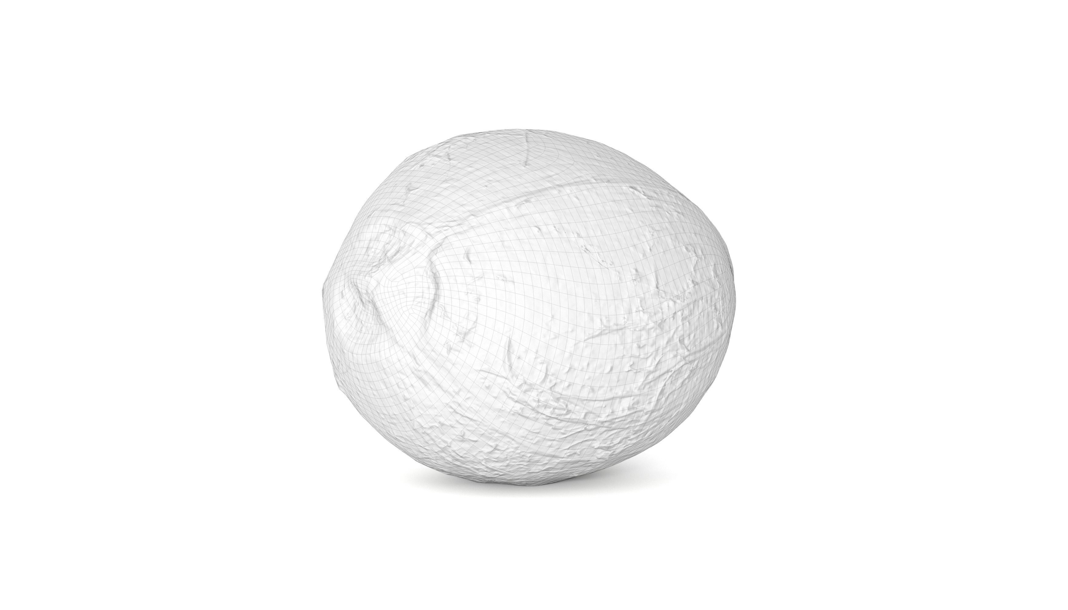 Coconut Fruit  Photoscan Low-poly 3D model_12