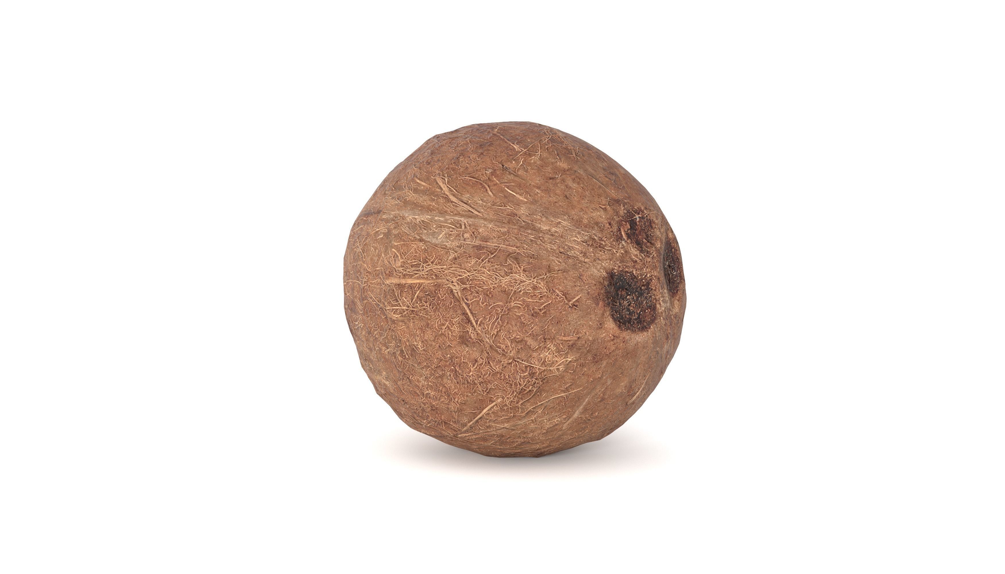 Coconut Fruit  Photoscan Low-poly 3D model_7