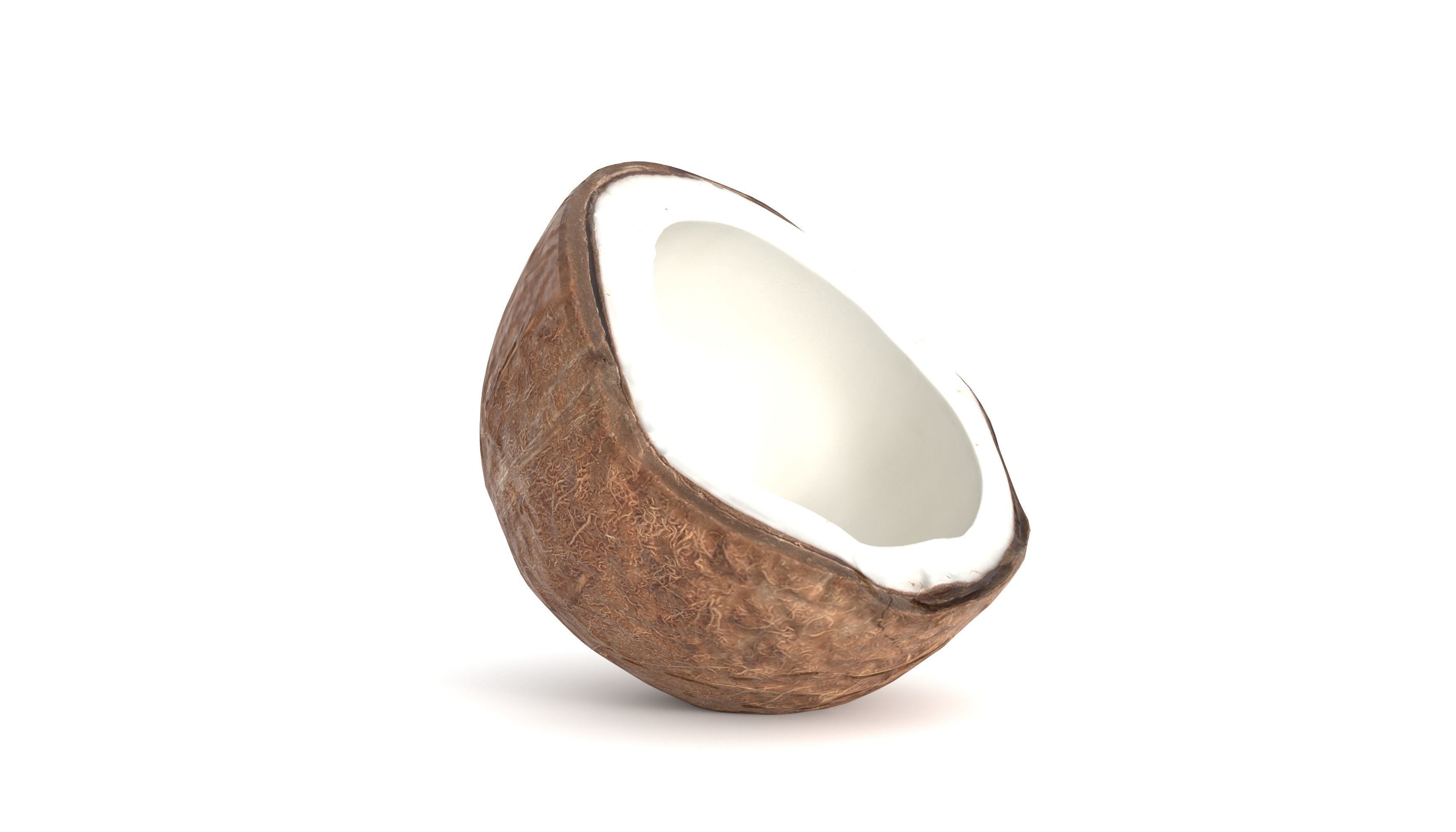 Coconut Fruit  Photoscan Low-poly 3D model_2