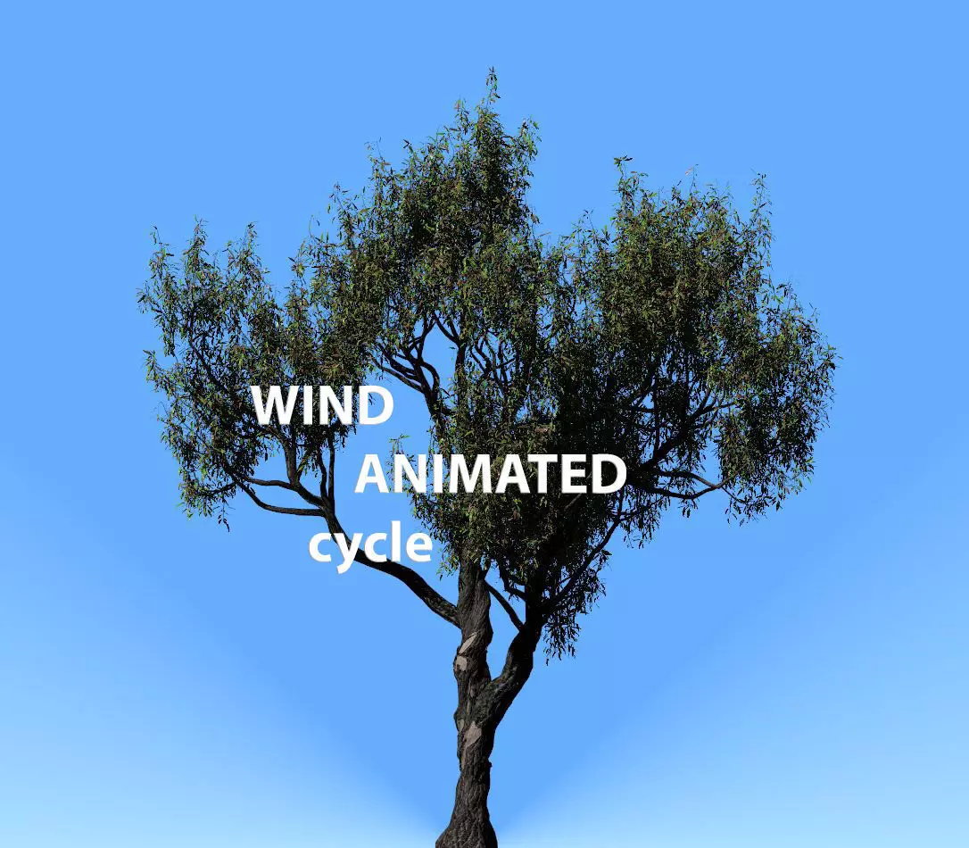 American Chestnut Tree 001 - Wind Animated 3D model