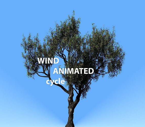 American Chestnut Tree 001 - Wind Animated 3D model