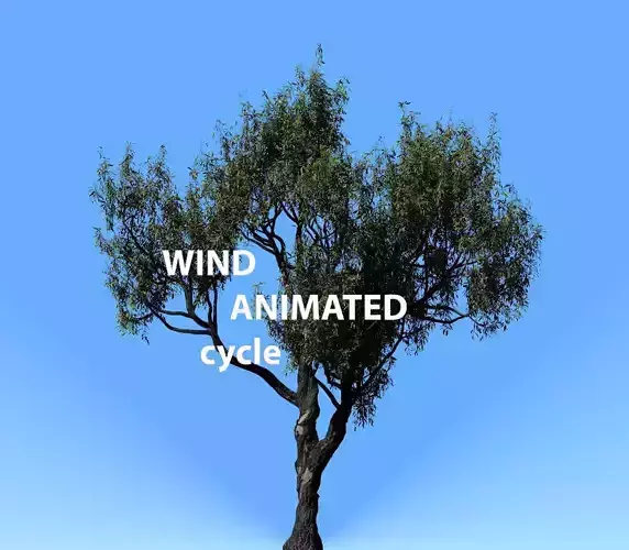 American Chestnut Tree 001 - Wind Animated 3D model