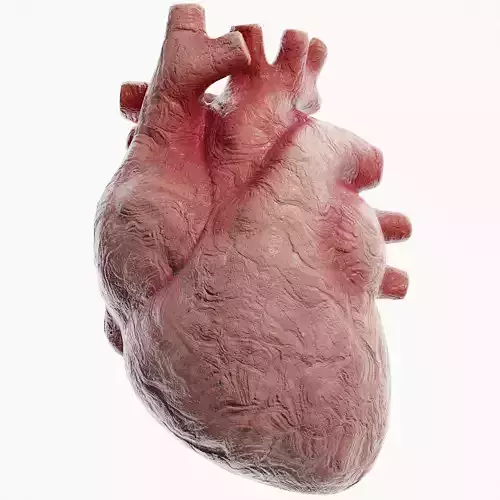 Clay Heart Low-poly 3D model