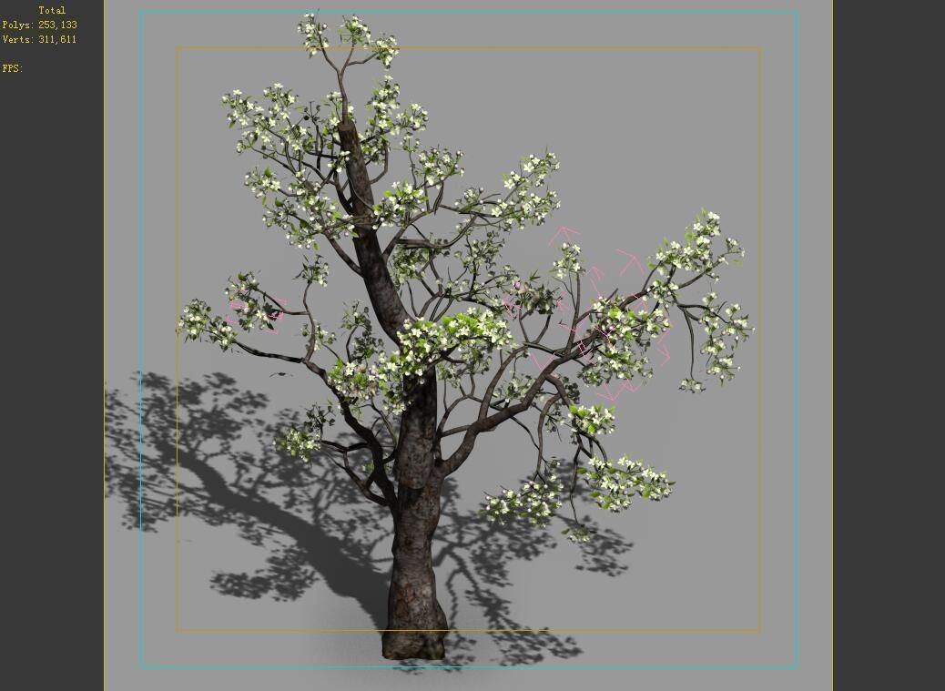 Baifenglin-wood-pear 03 3D model_4