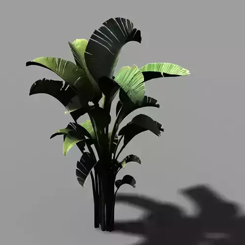 Hundred Forests-Plants-Banana Tree 23
