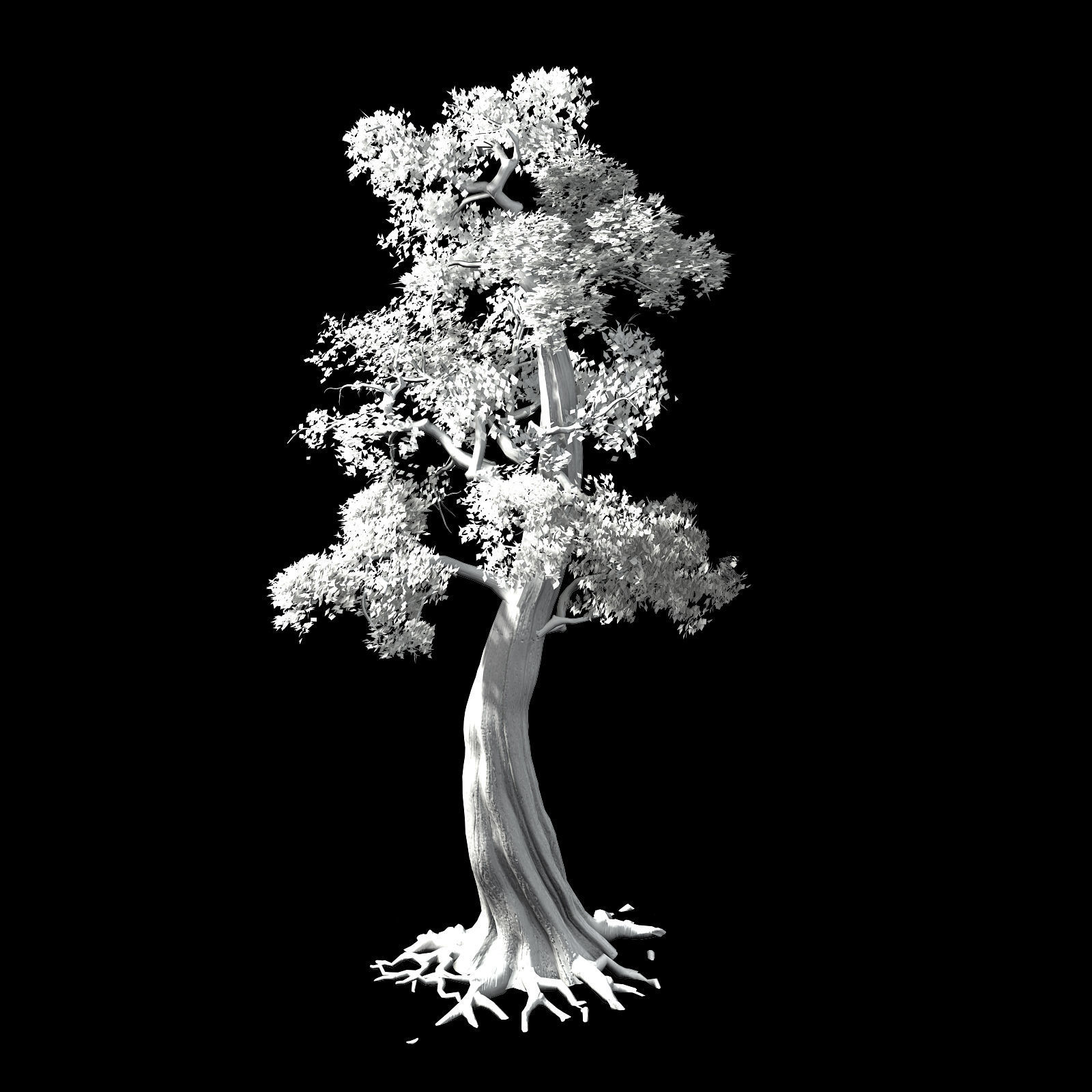 Hundred Forests-Plants-Cypress 3D model_2