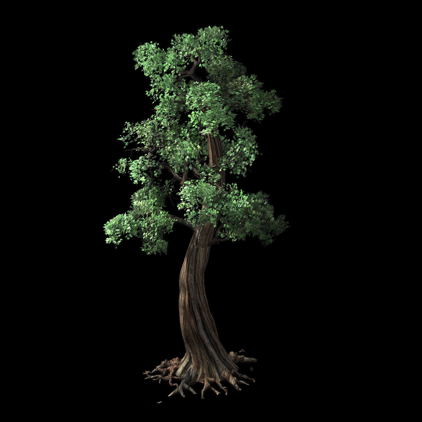 Hundred Forests-Plants-Cypress 3D model_1