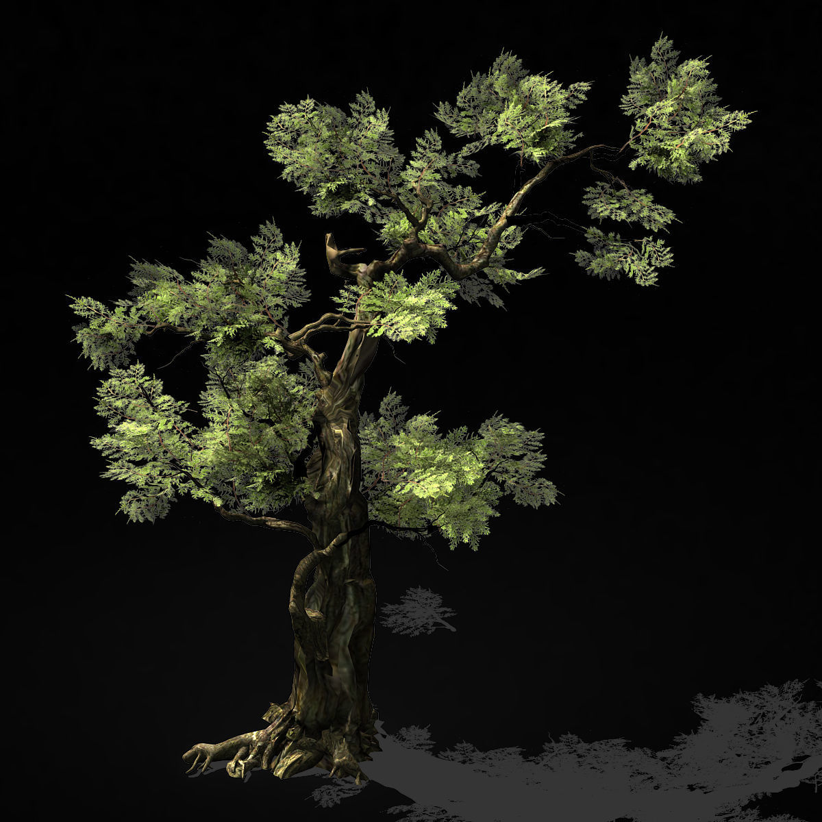 Hundred Forests-Plants-Cypress 235 3D model_1