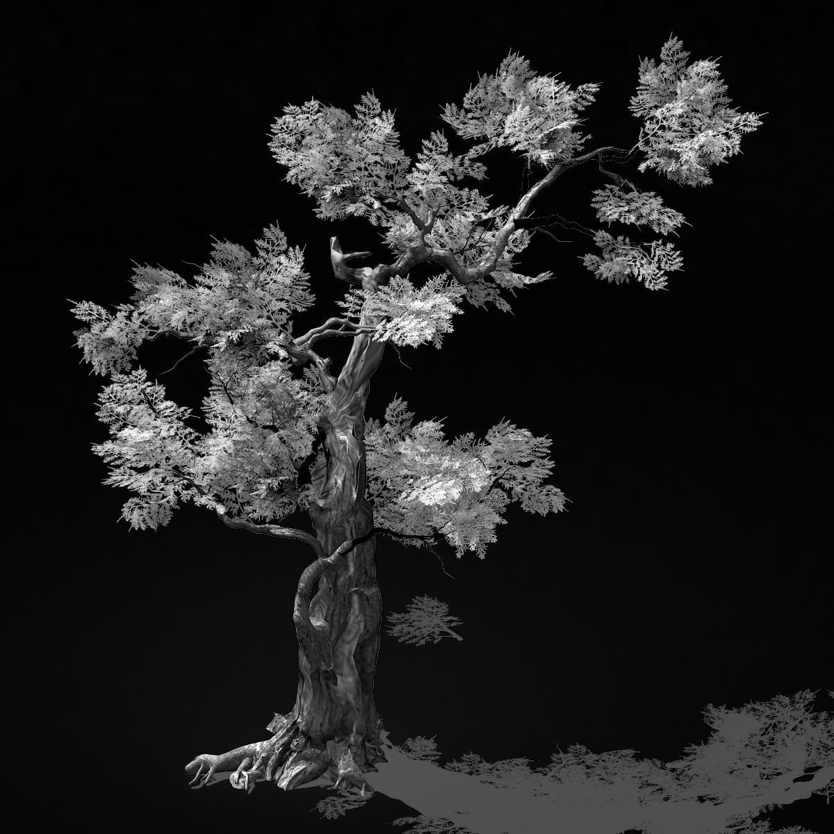 Hundred Forests-Plants-Cypress 235 3D model_2