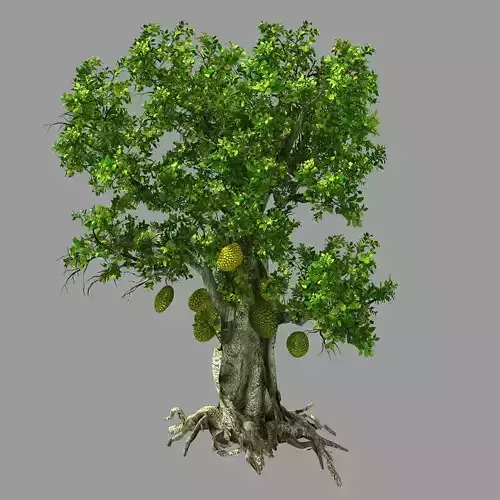 Hundred Forests-Plants-Jackfruit 21