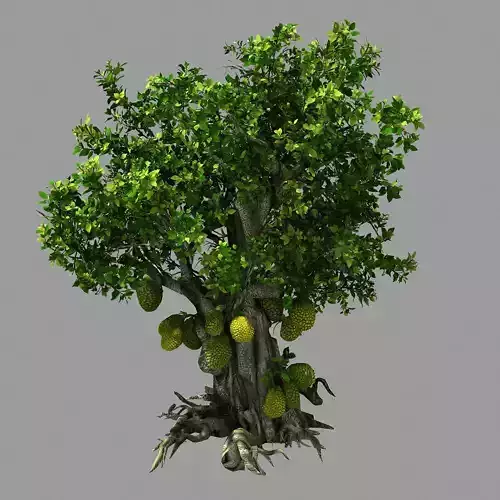 Hundred Forests-Plants-Jackfruit 23