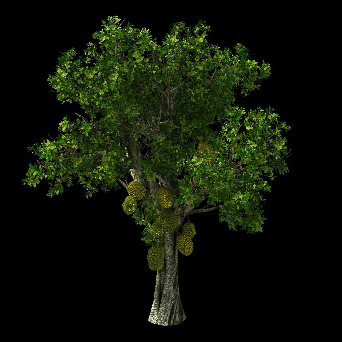 Hundred Forests-Plants-Jackfruit 25 3D model_1