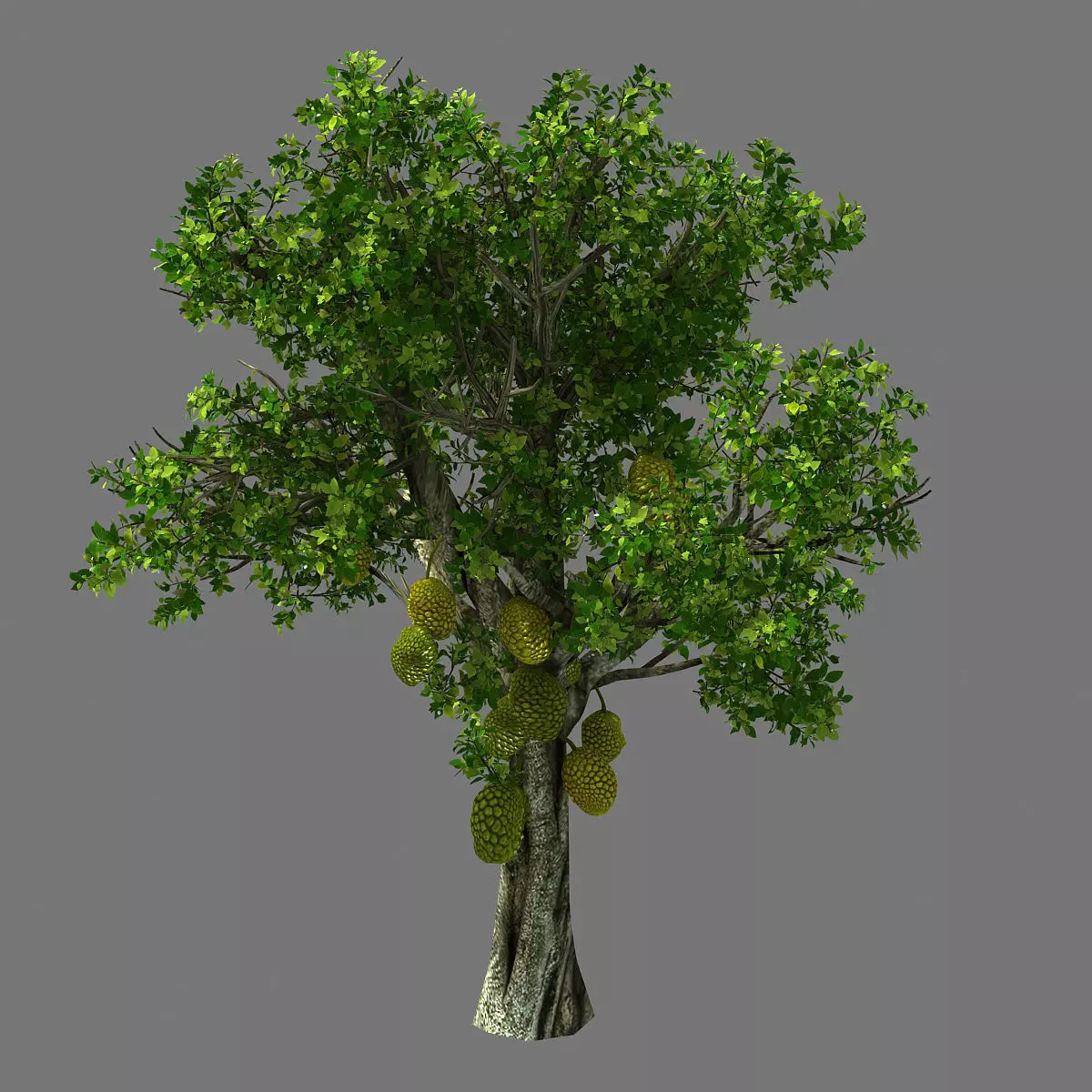 Hundred Forests-Plants-Jackfruit 25 3D model_0