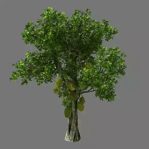 Hundred Forests-Plants-Jackfruit 25