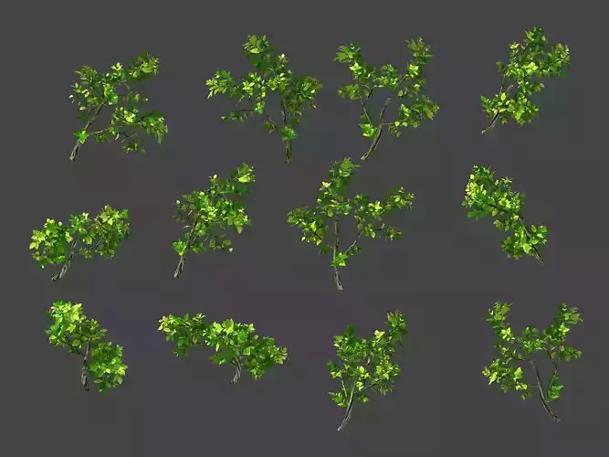 Hundred Forests-Plants-Jackfruit 26