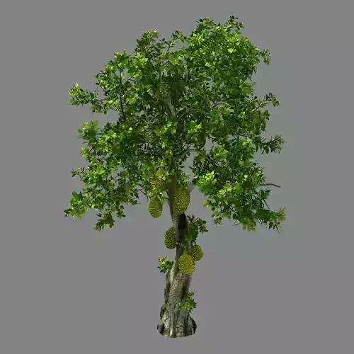 Hundred Forests-Plants-Jackfruit 27