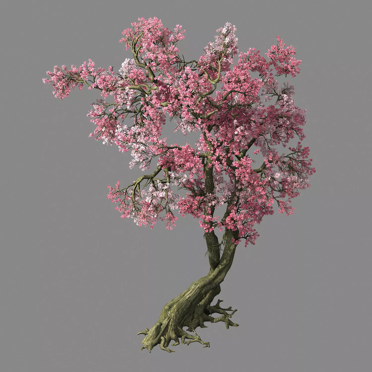 Hundred Forests-Plants-Pink Flower Tree 01 3D model_0