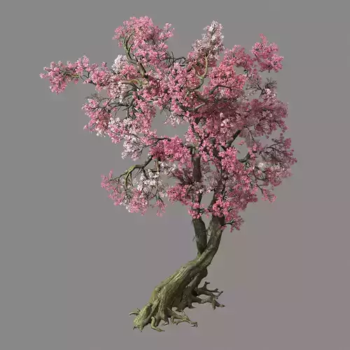 Hundred Forests-Plants-Pink Flower Tree 01
