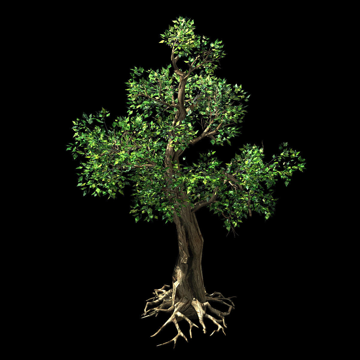 Hundred Forests-Plants-Acacia 01 3D model_1