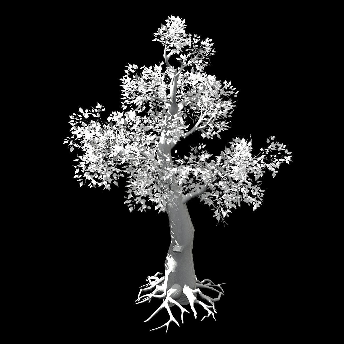 Hundred Forests-Plants-Acacia 01 3D model_2